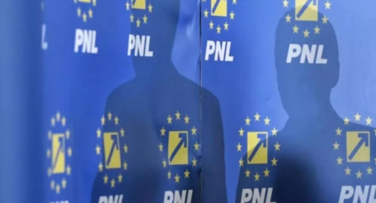 PNL si a ales noul presedinte interimar cu unanimitate