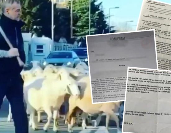Documente bomba Mafia imobiliara a lui Becali expusa