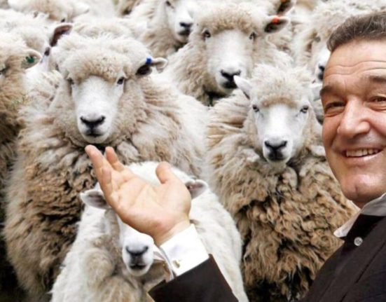 Gigi Becali alt derapaj socant Val de injurii la adresa reprezentantei AUR in BEC Esti o javra