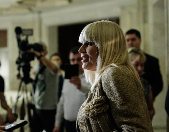 Dosarul Gala Bute Elena Udrea cere reducerea pedepsei cu 5 luni