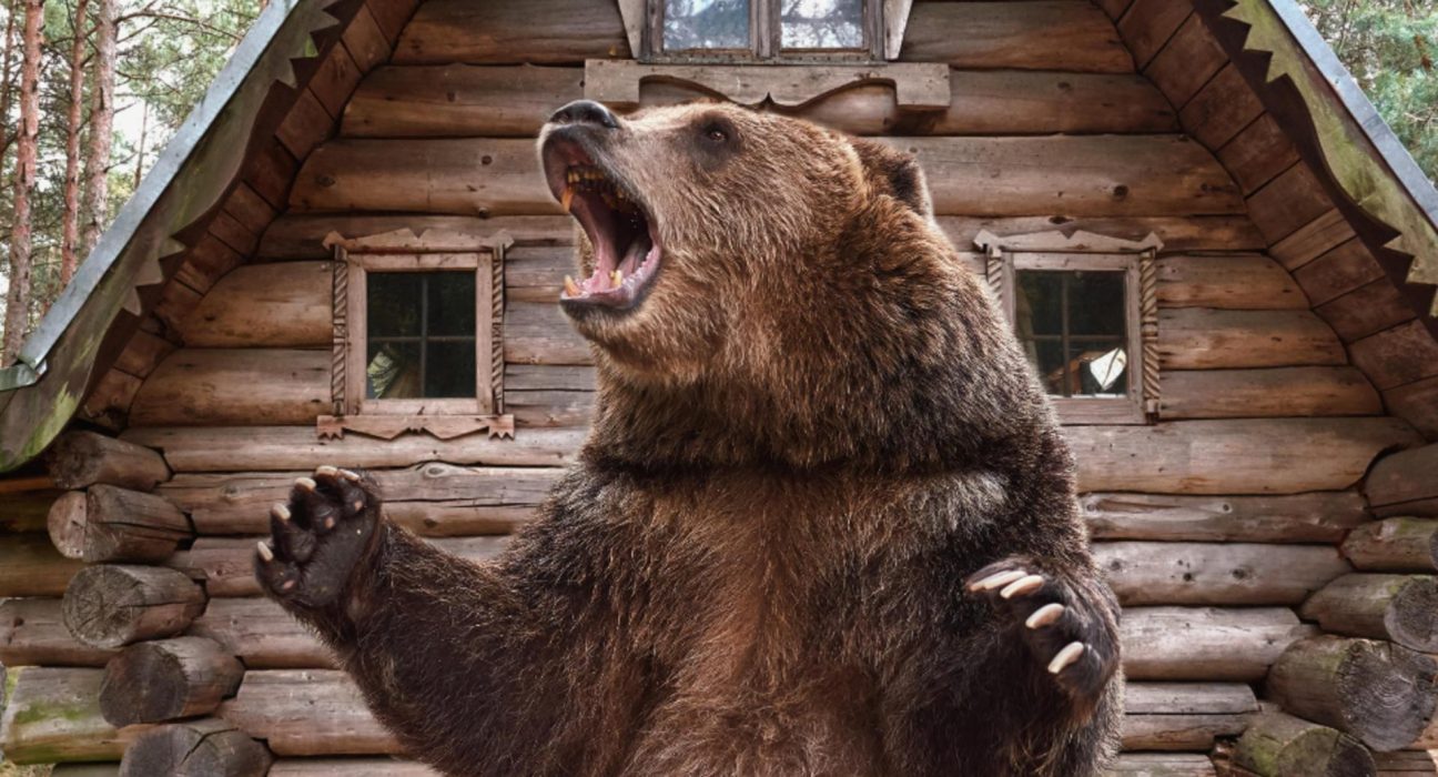 Un urs a fost vazut langa o cabana in Bicaz Chei