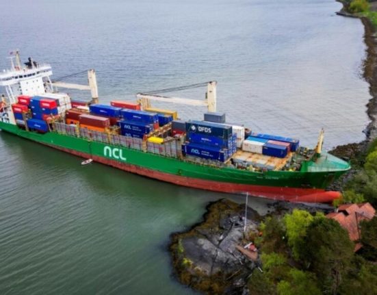 Cum a ajuns un cargobot in gradina unui norvegian
