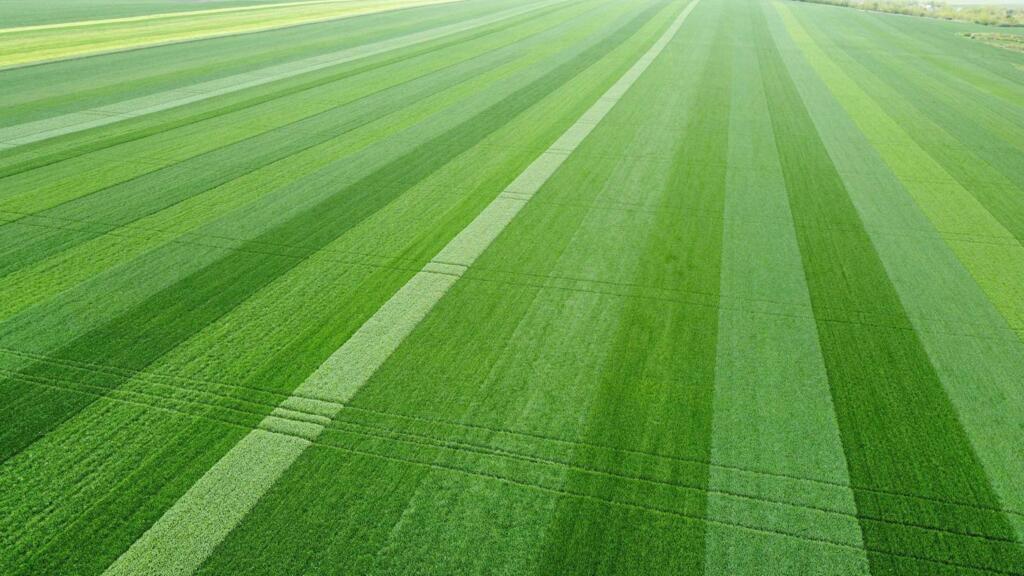 Fermier din Iasi Ploile au salvat agricultura din NE Romania