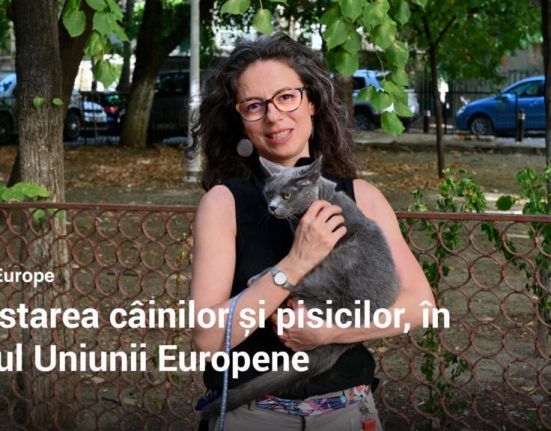 Cum protejeaza UE animalele de companie