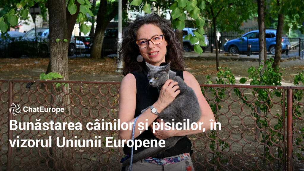 Cum protejeaza UE animalele de companie
